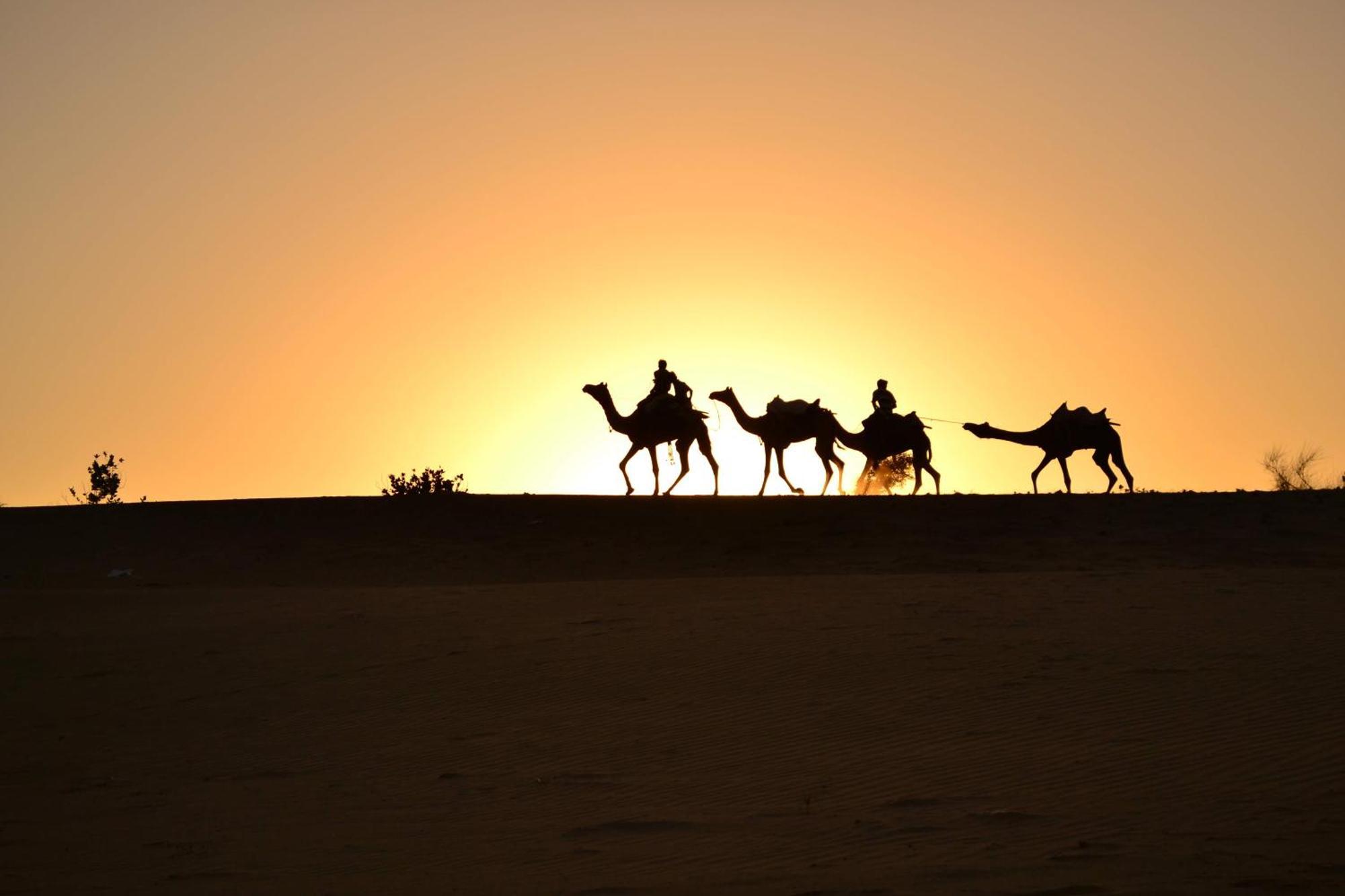 Hotel Oasis Haveli Jaisalmer (Adults Only) المظهر الخارجي الصورة